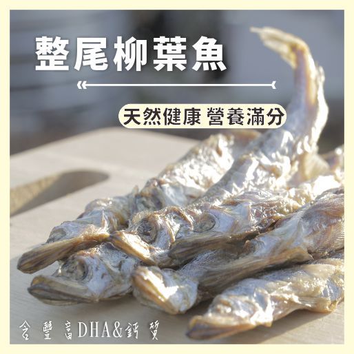 魚纇